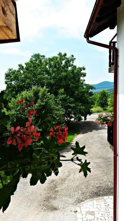 Apartament House Jole Drežnik Grad Pokój zdjęcie